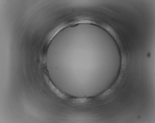 X0000111161193200907211219