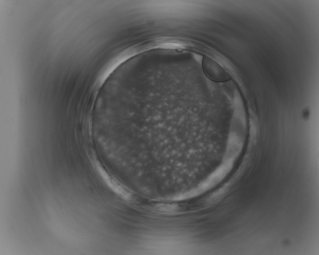 X0000111161194200907211219