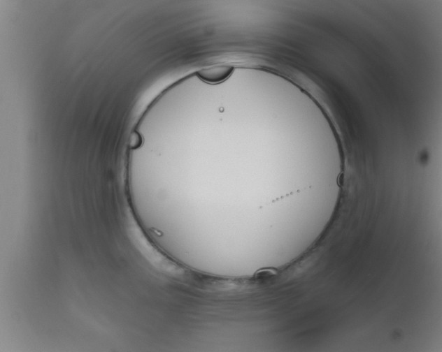 X0000111161195200907211219