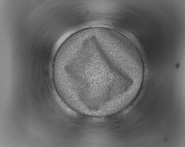 X0000111161196200907211219