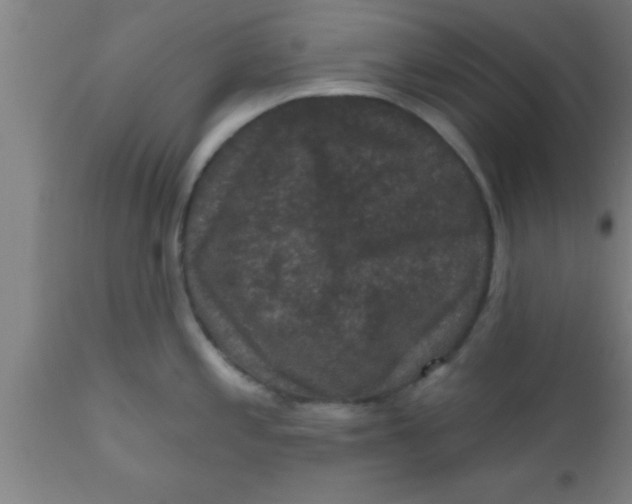 X0000111161197200907211219