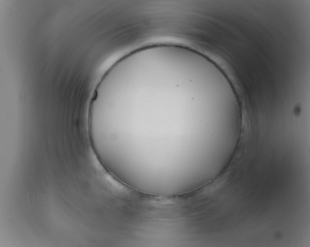 X0000111161199200907211219