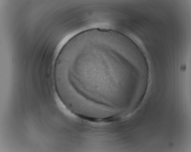 X0000111161200200907211219