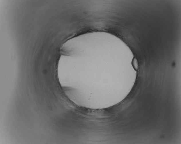 X0000111161201200907211218