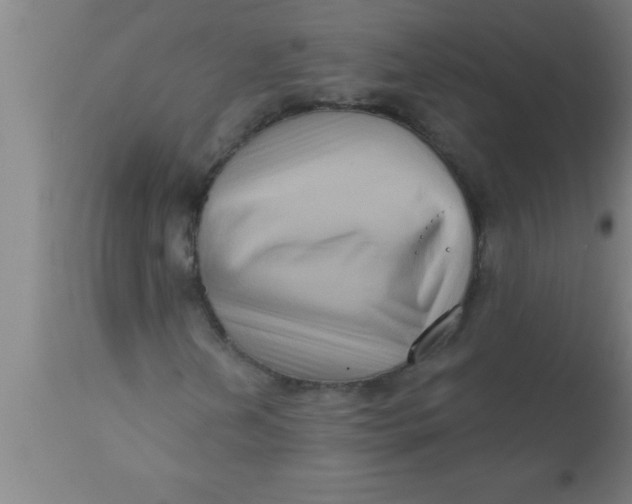 X0000111161202200907211218