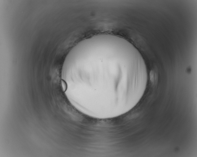 X0000111161203200907211218