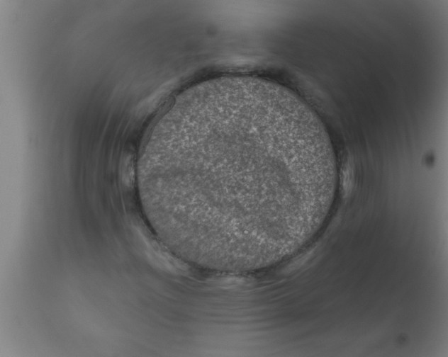 X0000111161204200907211218