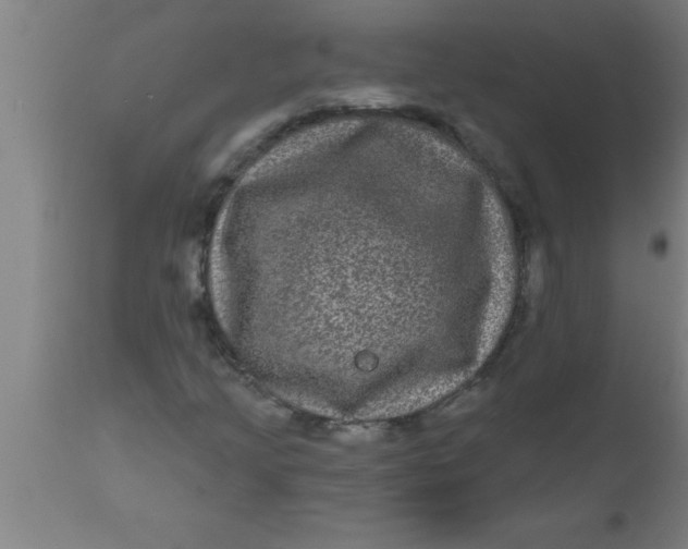 X0000111161205200907211218