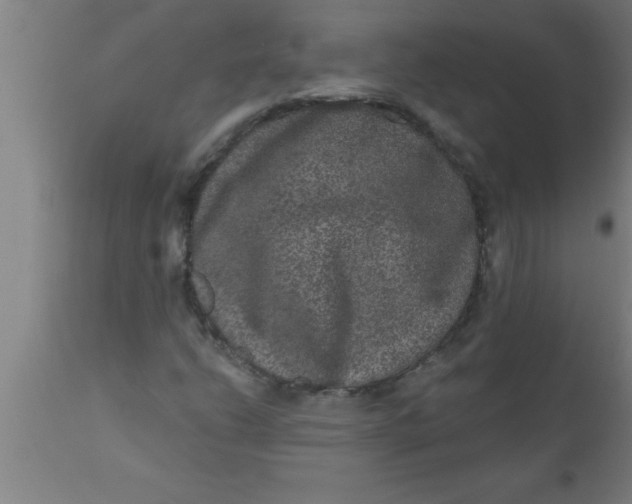 X0000111161206200907211218