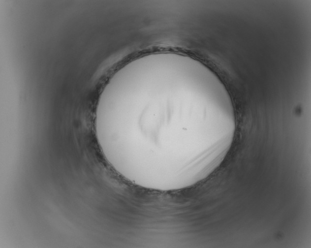 X0000111161207200907211218