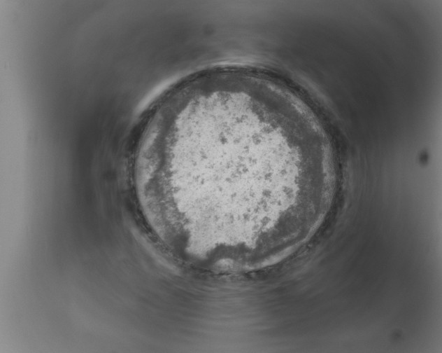 X0000111161208200907211219