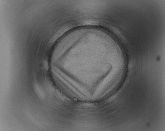 X0000111161209200907211219