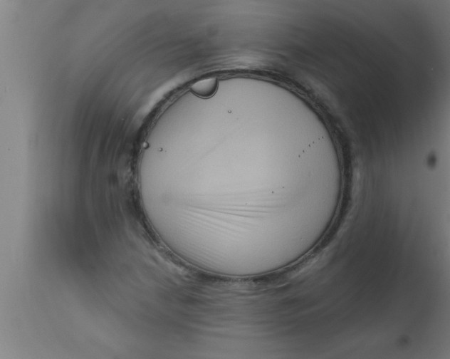 X0000111161210200907211219