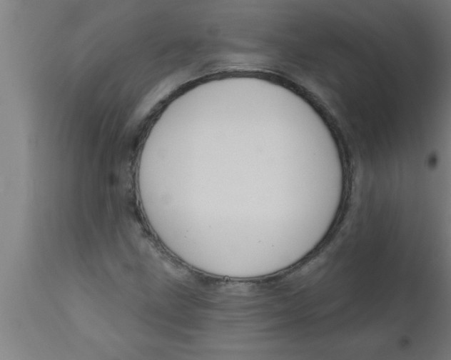 X0000111161211200907211219