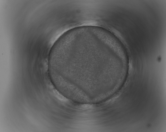 X0000111161212200907211219