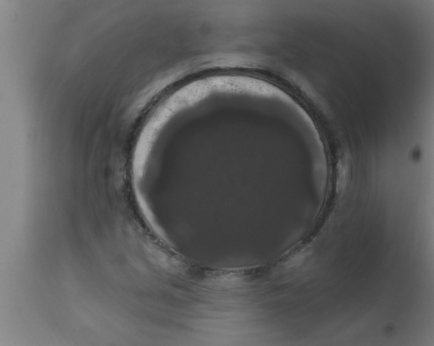 X0000111161213200907211219