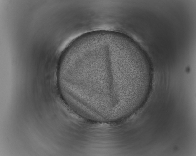 X0000111161214200907211219