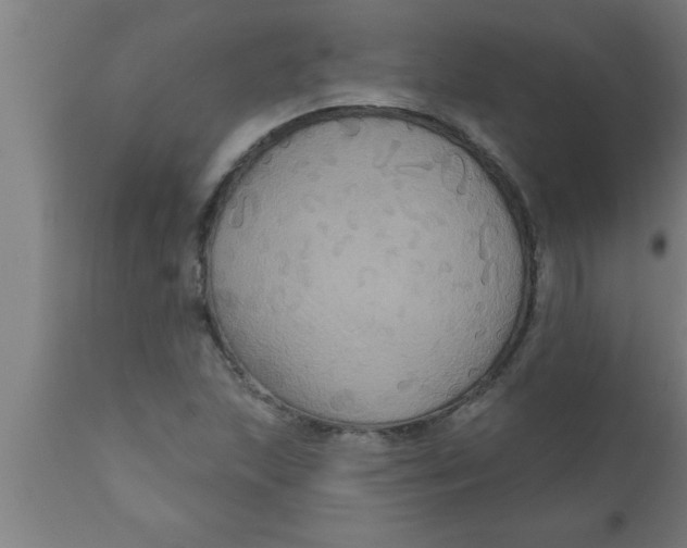 X0000111161215200907211219