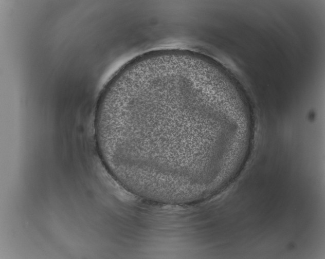 X0000111161216200907211219