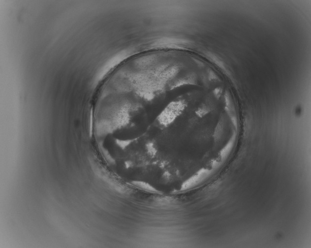 X0000111161219200907211219