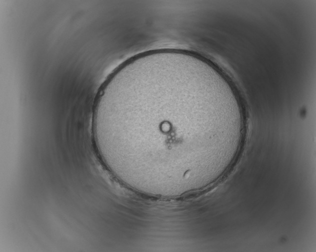 X0000111161220200907211219