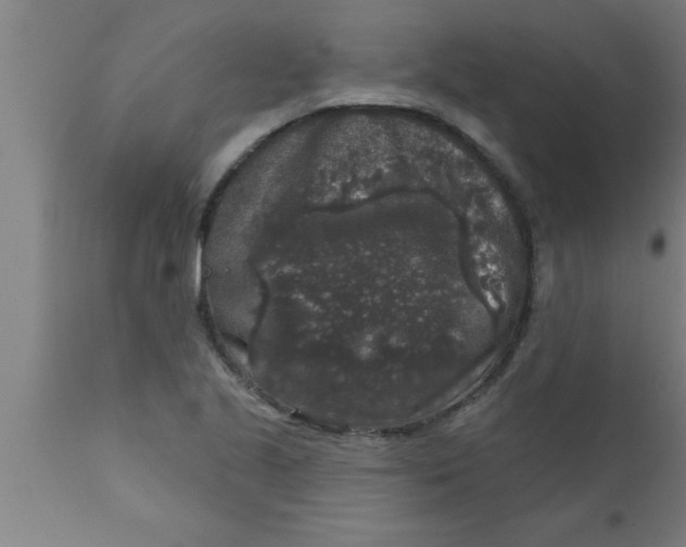 X0000111161221200907211219