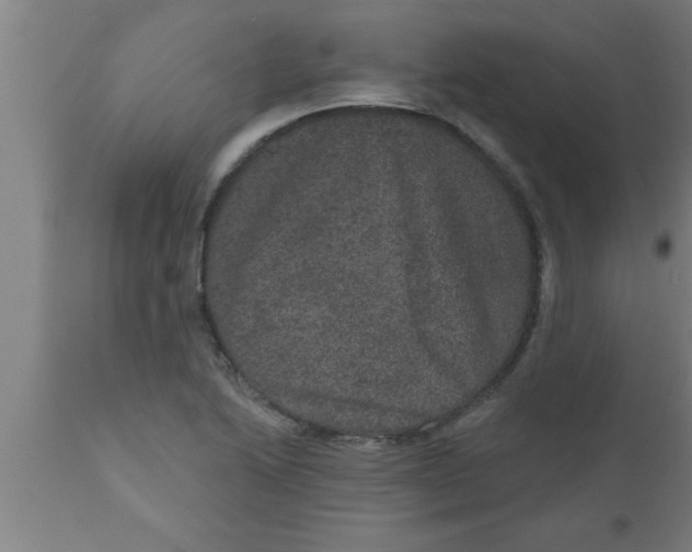 X0000111161222200907211219