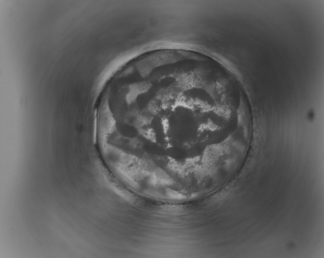 X0000111161223200907211219