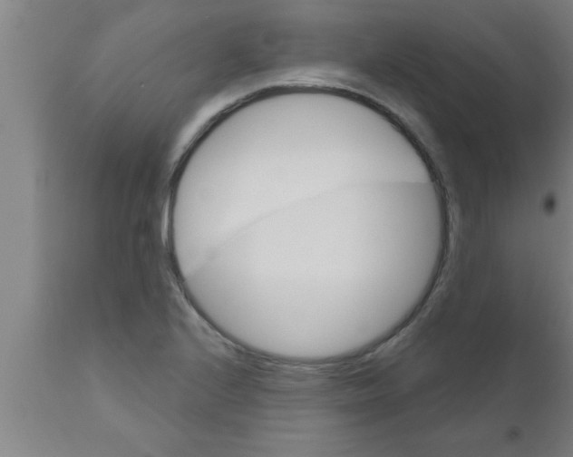 X0000111161224200907211219