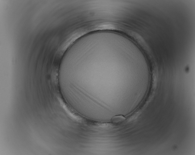 X0000111161225200907211219