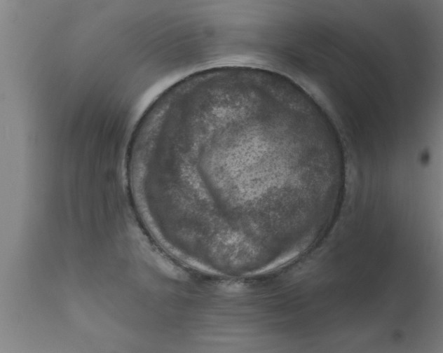 X0000111161230200907211219