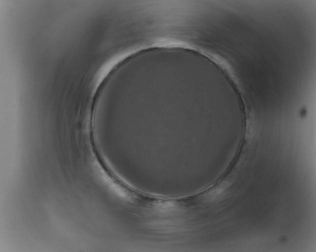 X0000111161231200907211219