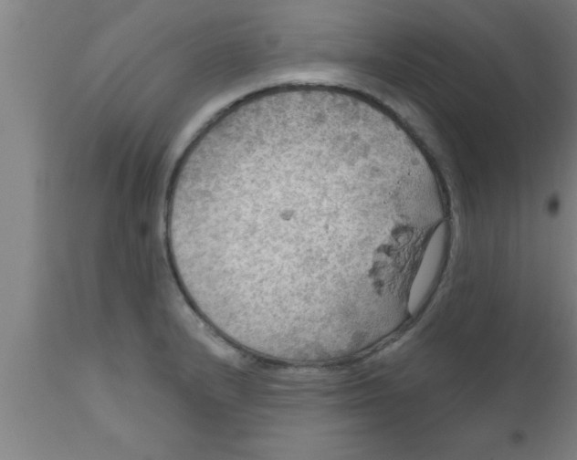 X0000111161232200907211219