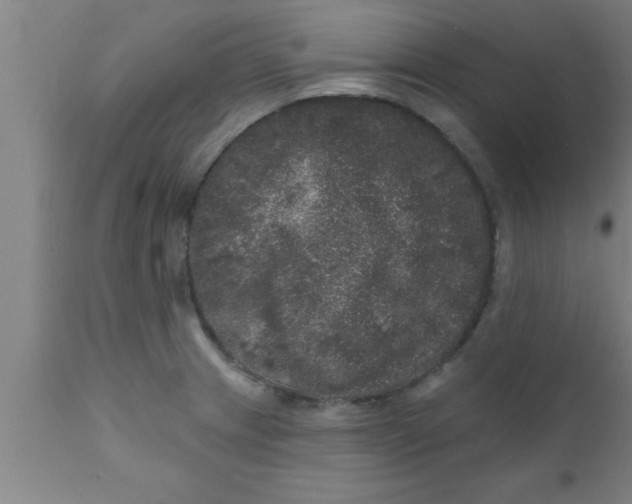 X0000111161233200907211219