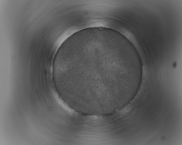 X0000111161234200907211219