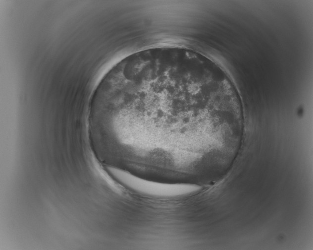 X0000111161235200907211219