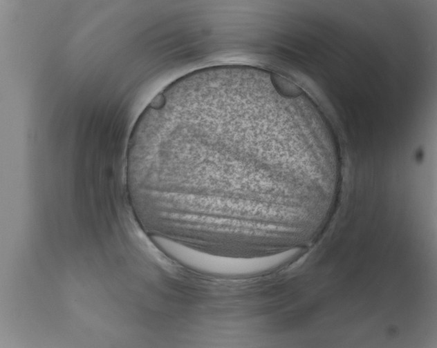 X0000111161236200907211219