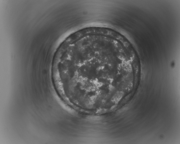 X0000111161237200907211219