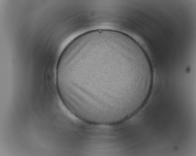 X0000111161238200907211219