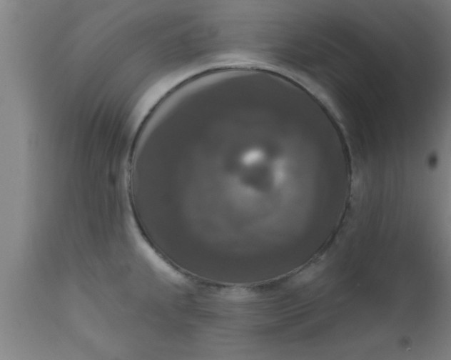 X0000111161239200907211219