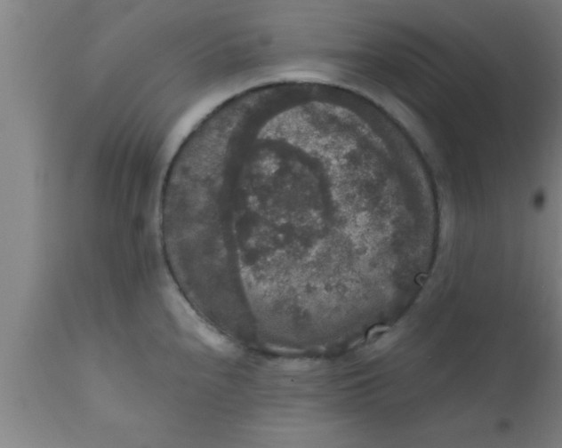 X0000111161240200907211219