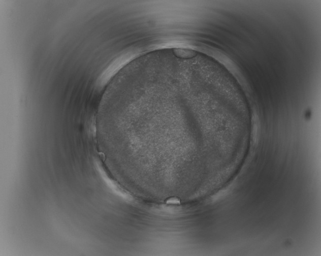 X0000111161241200907211219