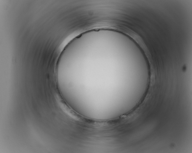 X0000111161242200907211219