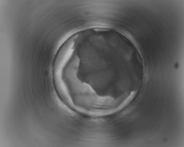 X0000111161243200907211219