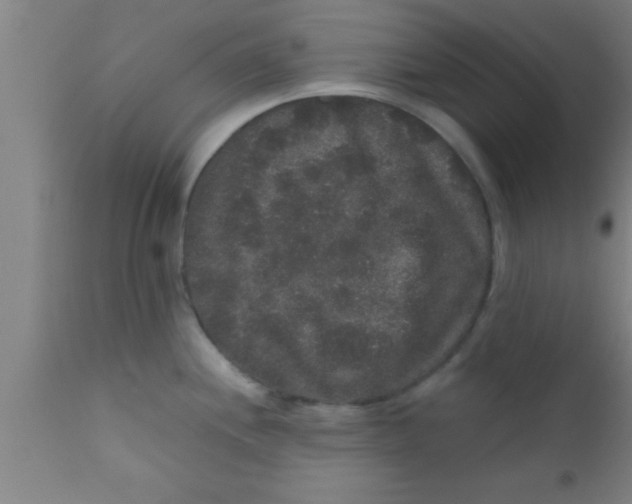 X0000111161244200907211219