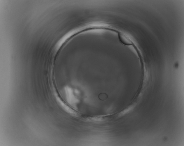 X0000111161245200907211219