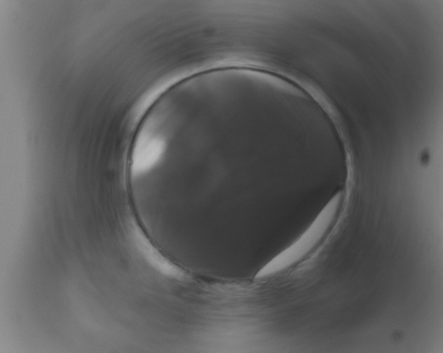 X0000111161246200907211219