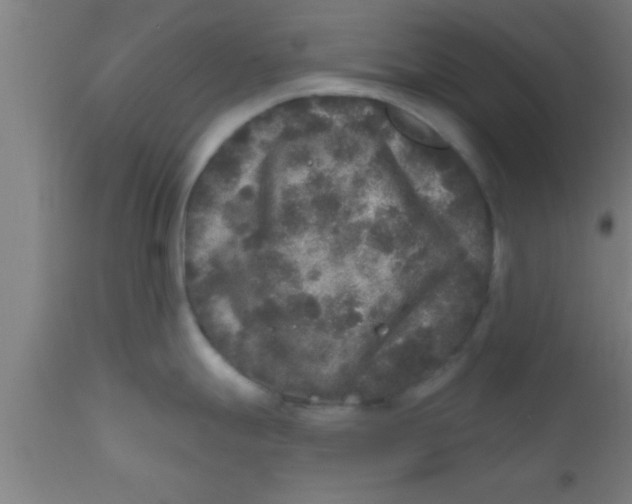 X0000111161247200907211219