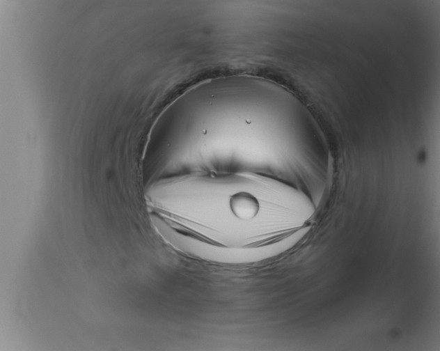 X0000111161249200907211218