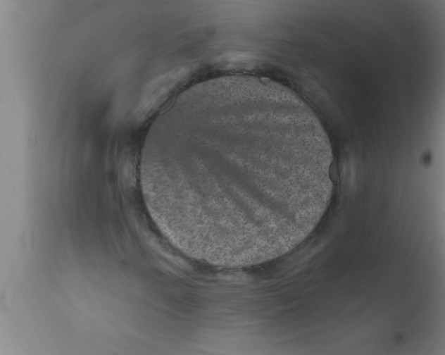 X0000111161250200907211218